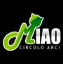 logo miao