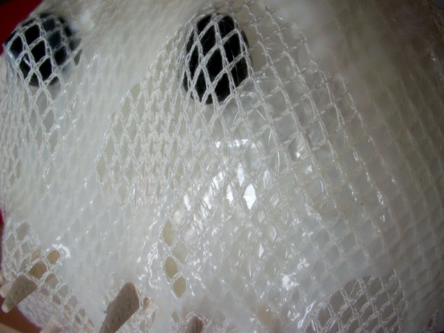 Loading Image