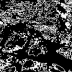 150820121661_3