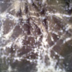 150820121663