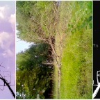 il sogno della materia