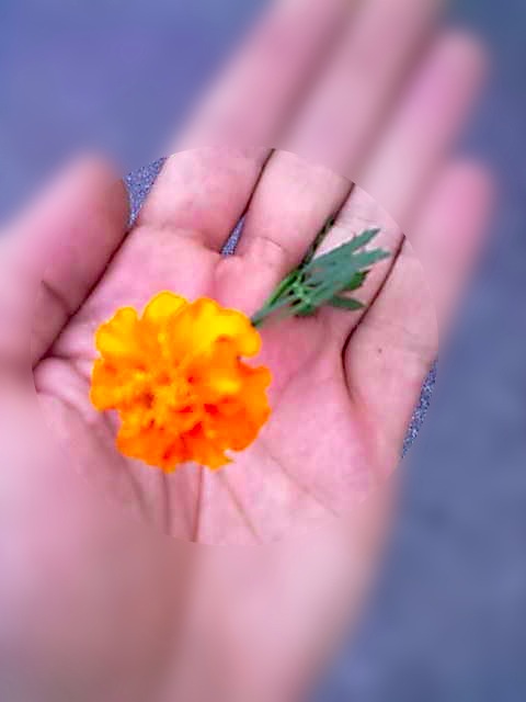 Loading Image