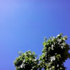 2013-05-11 15.17.16