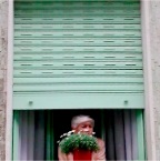 vecchia finestra
