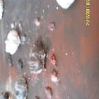 SAM_0574