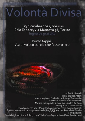Progetto Volontà Divisa I