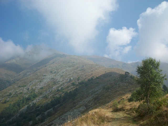 Loading Image