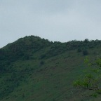 orej-10