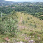 orej-2