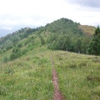 orej-6