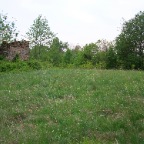 benne-10