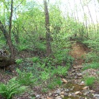 benne-13
