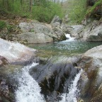 benne-5