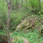 benne-7